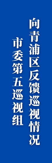 市委第五巡视组向青浦区反馈巡视情况