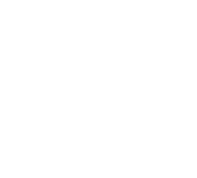 公示公告