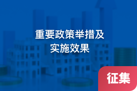 重要政策举措及实施效果