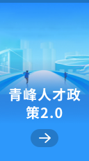 青峰人才政策2.0服务平台