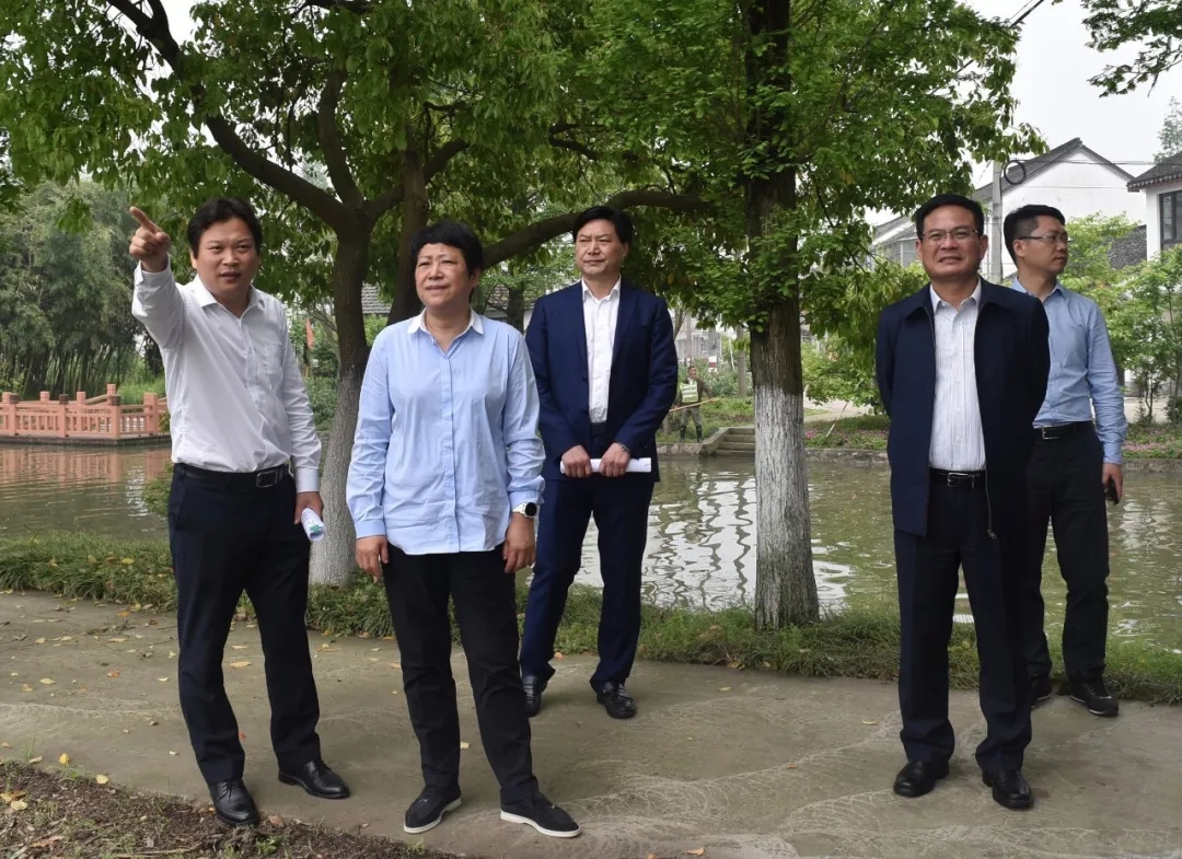 "我要做" 赵惠琴带队赴练塘镇调研_头条新闻_上海市青浦区人民政府