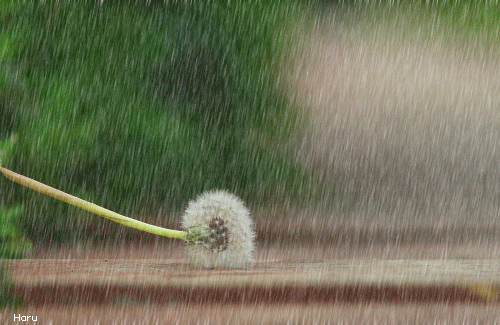0621_085651_787.gif