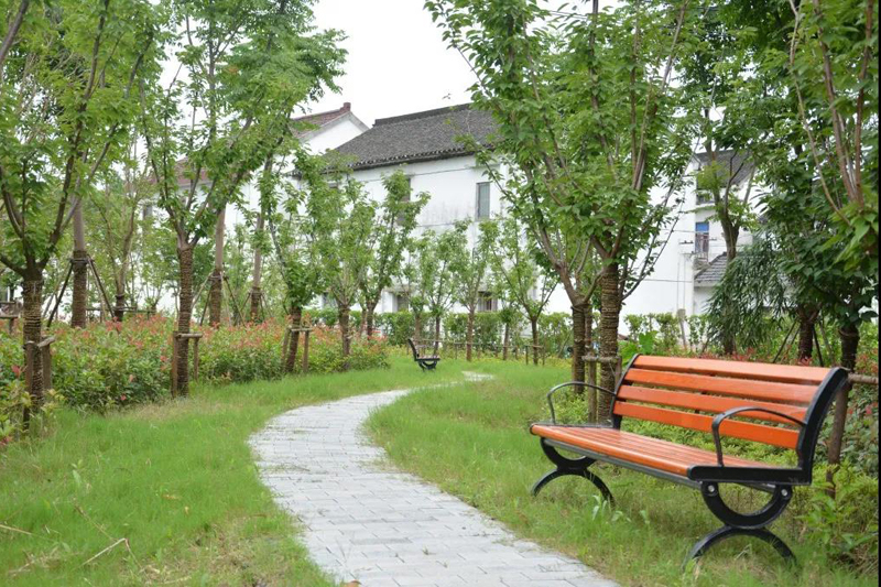 练塘这个村“白”里透“红”，这里的“长廊”“老宅”你去过了吗？2.jpg