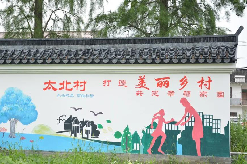 练塘这个村“白”里透“红”，这里的“长廊”“老宅”你去过了吗？3.jpg