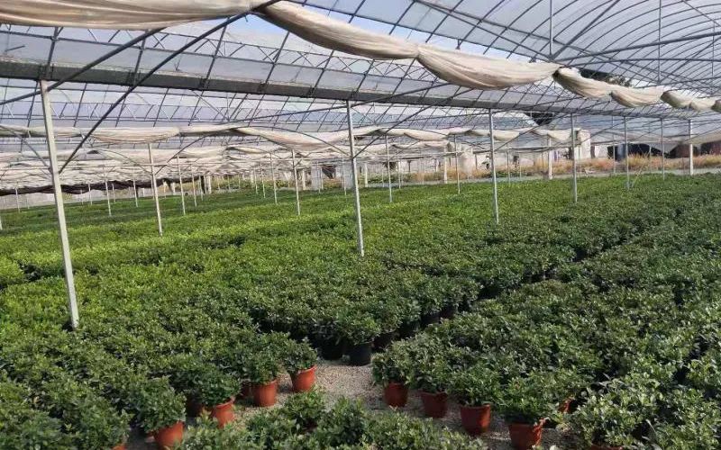 0716_092335_817.jpg 4.jpg