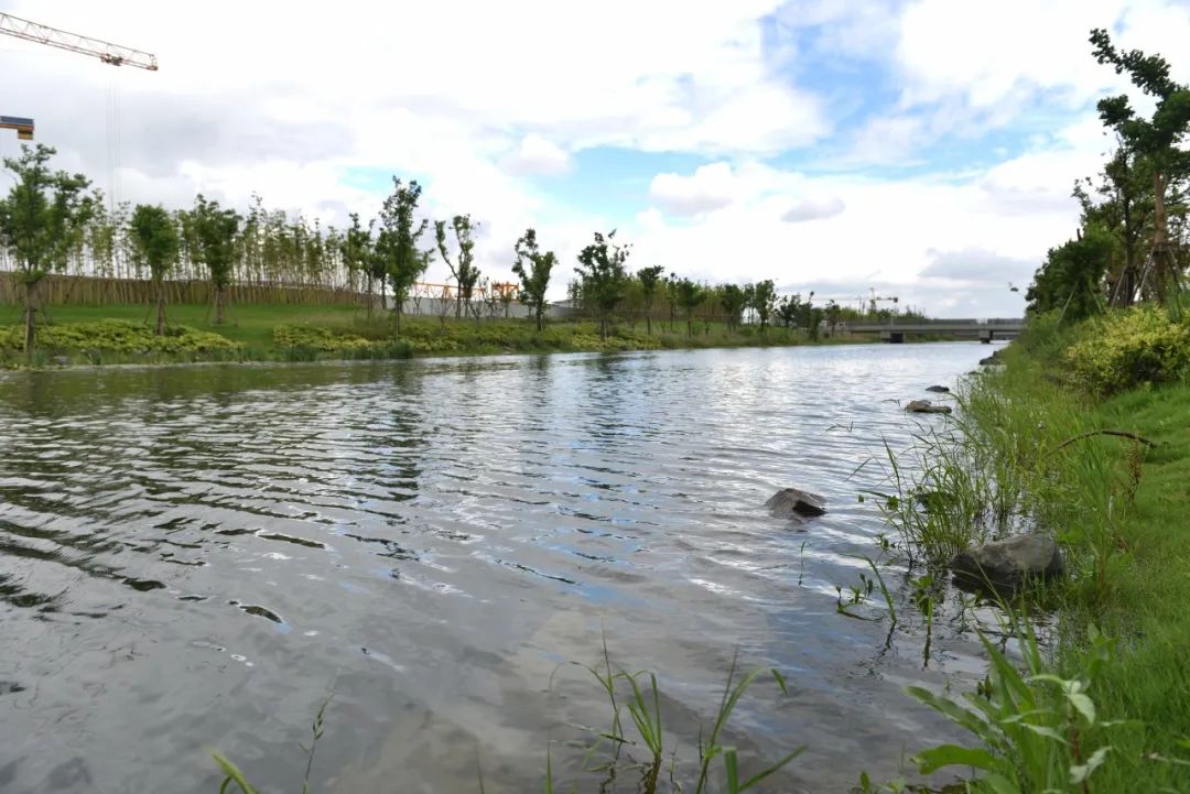 0807_095453_847.jpg