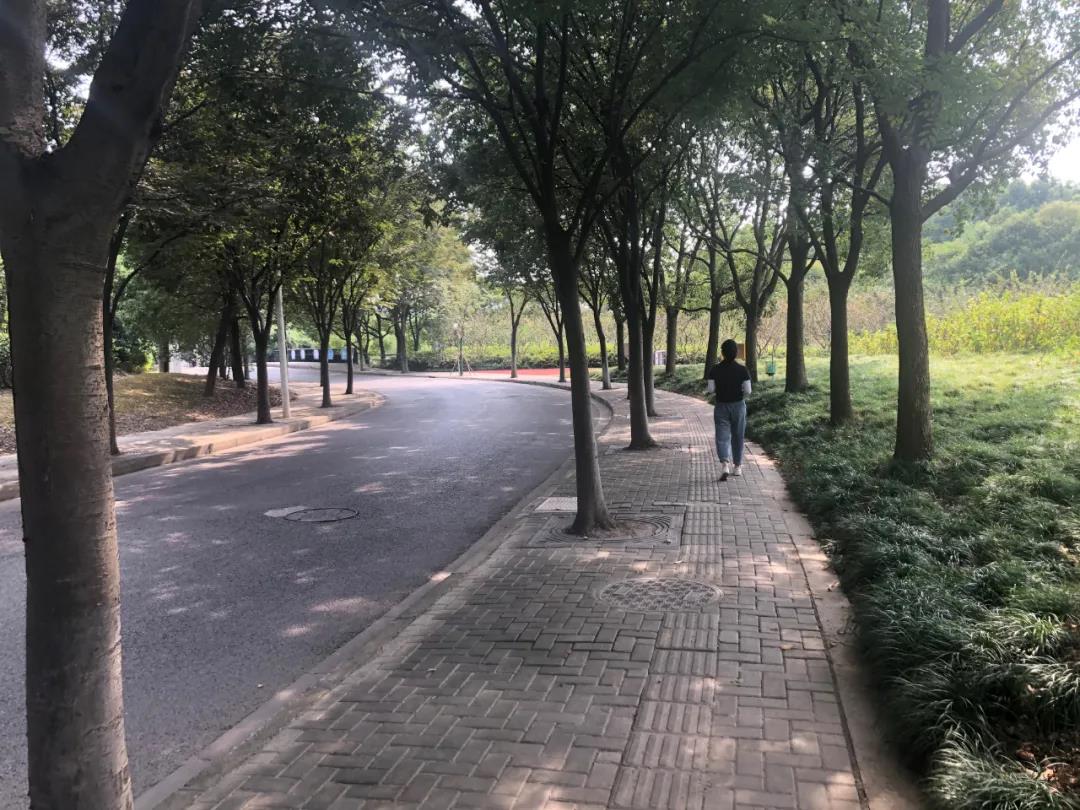 0910_085134_666.jpg 0910_085134_666.jpg