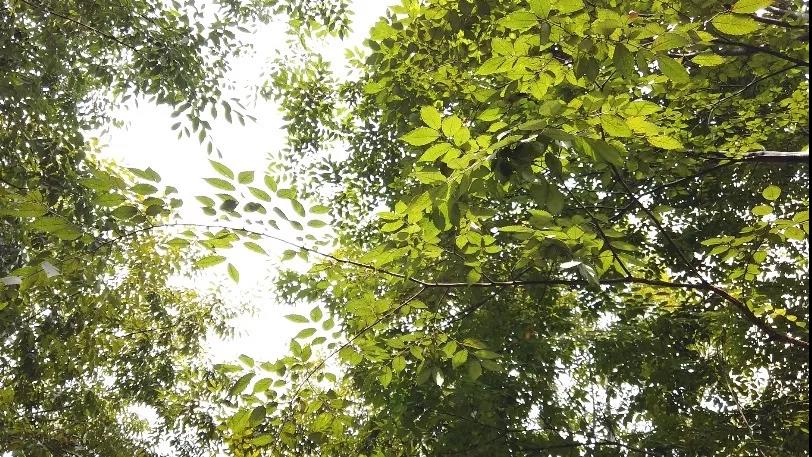 0910_085156_577.jpg 0910_085156_577.jpg