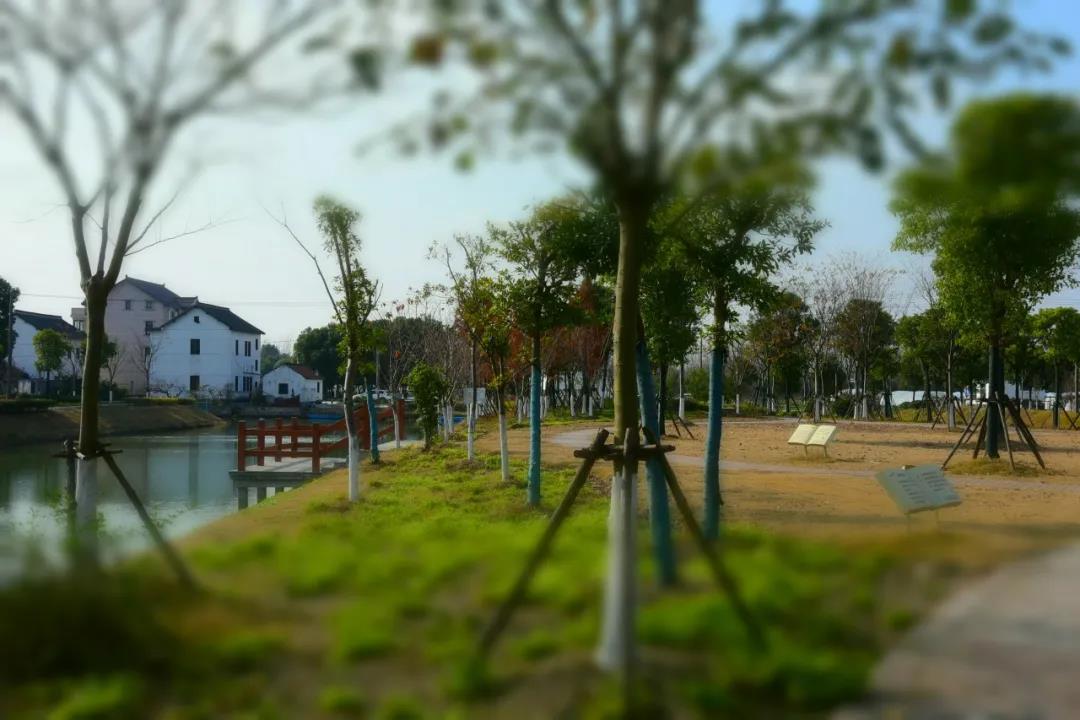微信图片_20201012093551.jpg