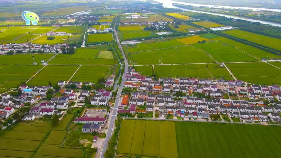 0105_100048_297.jpg 0105_100048_297.jpg