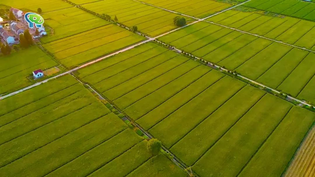 0105_100139_372.jpg 0105_100139_372.jpg