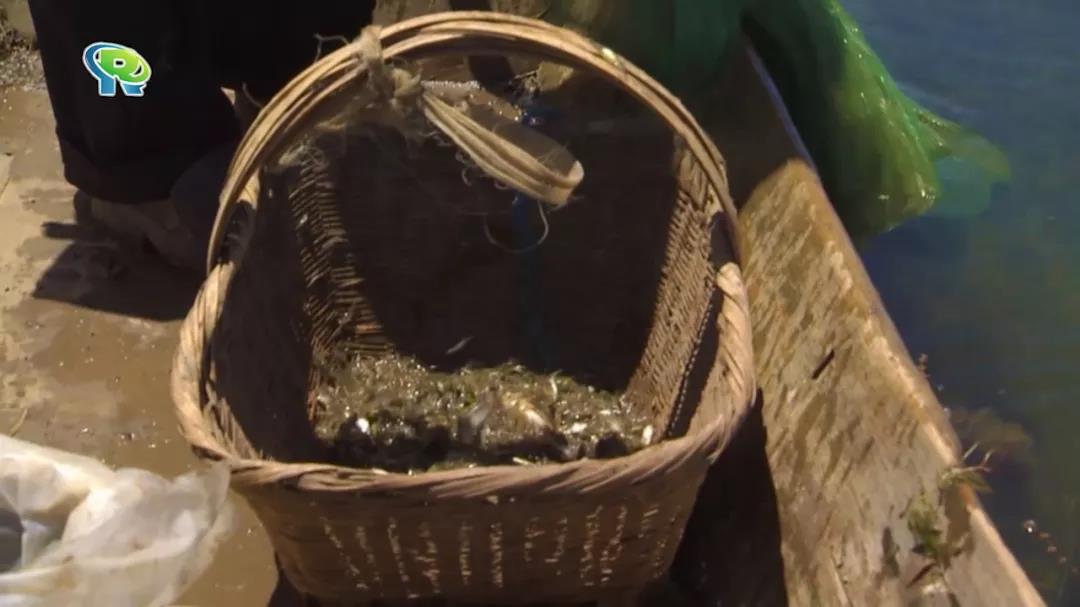 0105_100206_399.jpg 0105_100206_399.jpg