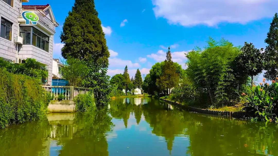 0105_100306_203.jpg 0105_100306_203.jpg