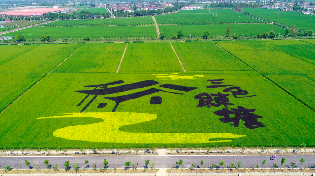 0414_104903_834.png 0414_104903_834.png