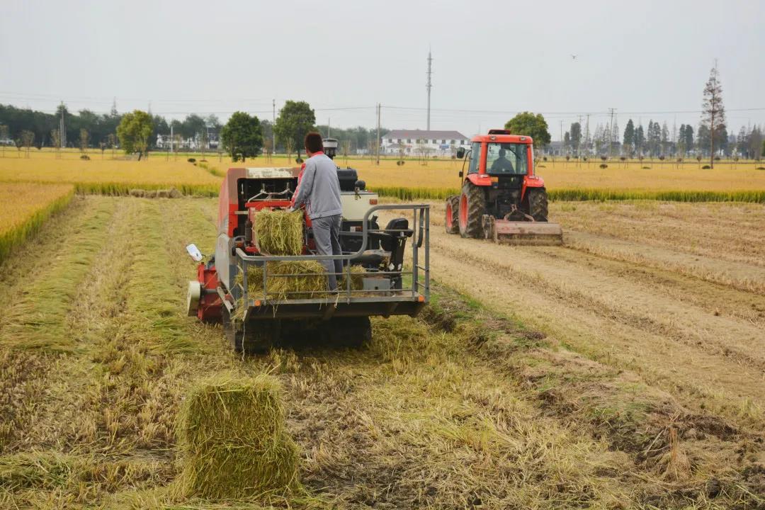 0414_105001_578.jpg 0414_105001_578.jpg