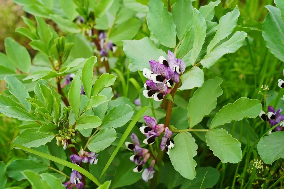 0414_105022_348.jpg 0414_105022_348.jpg