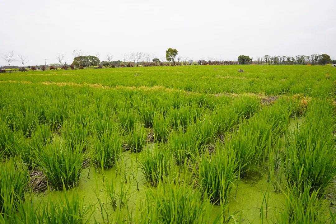 0414_105102_804.jpg 0414_105102_804.jpg