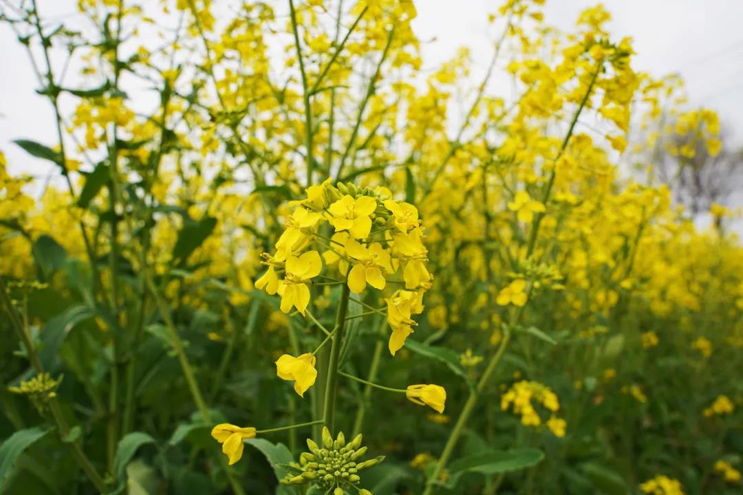 0414_105116_671.jpg 0414_105116_671.jpg