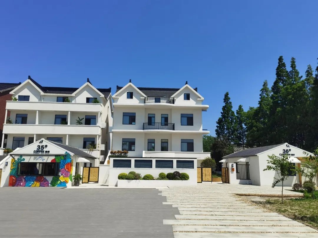 破茧成蝶,赵巷镇这个村正演绎着美丽的嬗变