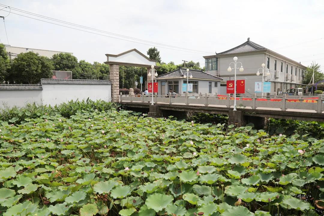 这个被荷花池包围的社区中心，温馨又实用