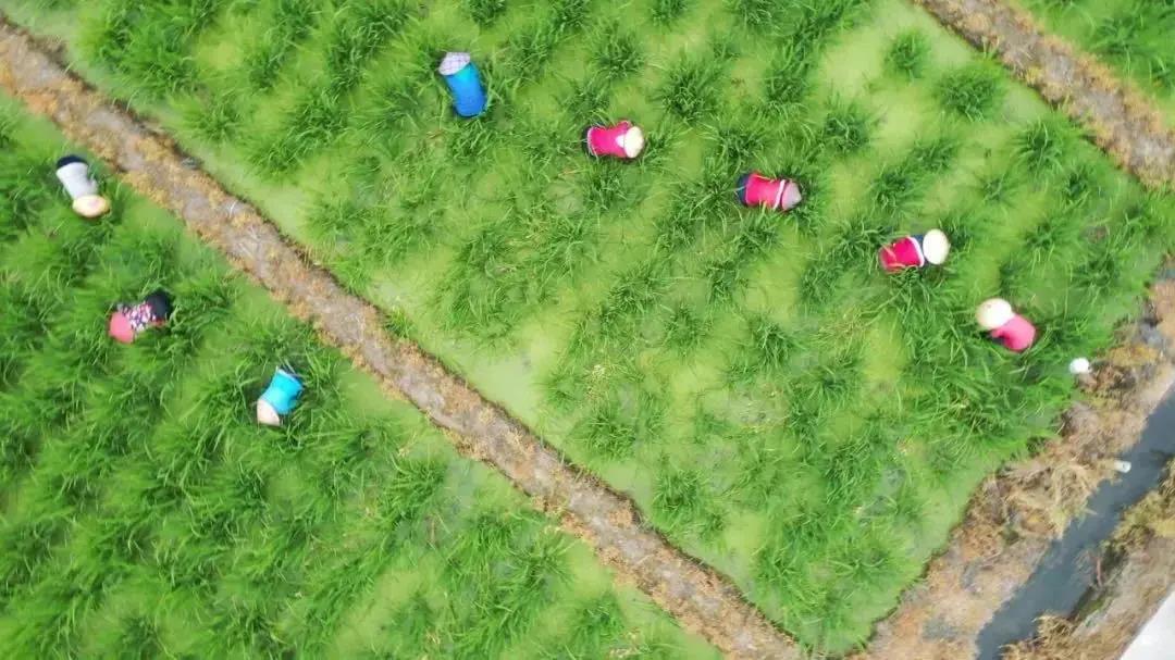 0924_092225_143.jpg 0924_092225_143.jpg