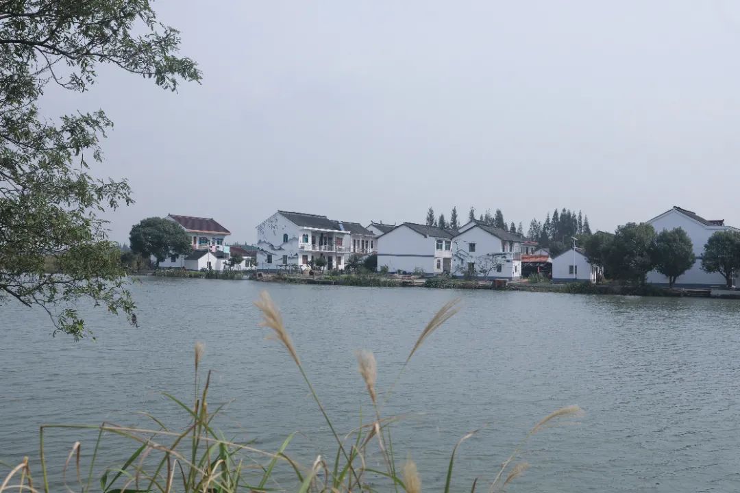1021_101645_622.jpg