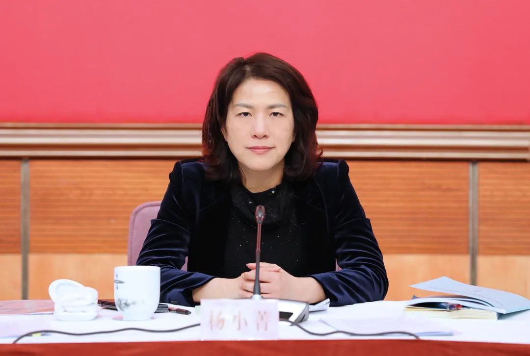 杨小菁指出,要紧扣发展大局,全面把握推进三项工作的重要意义.