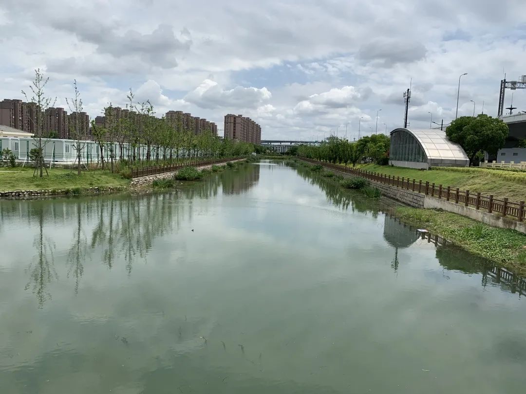 0711_093905_832.jpg 0711_093905_832.jpg