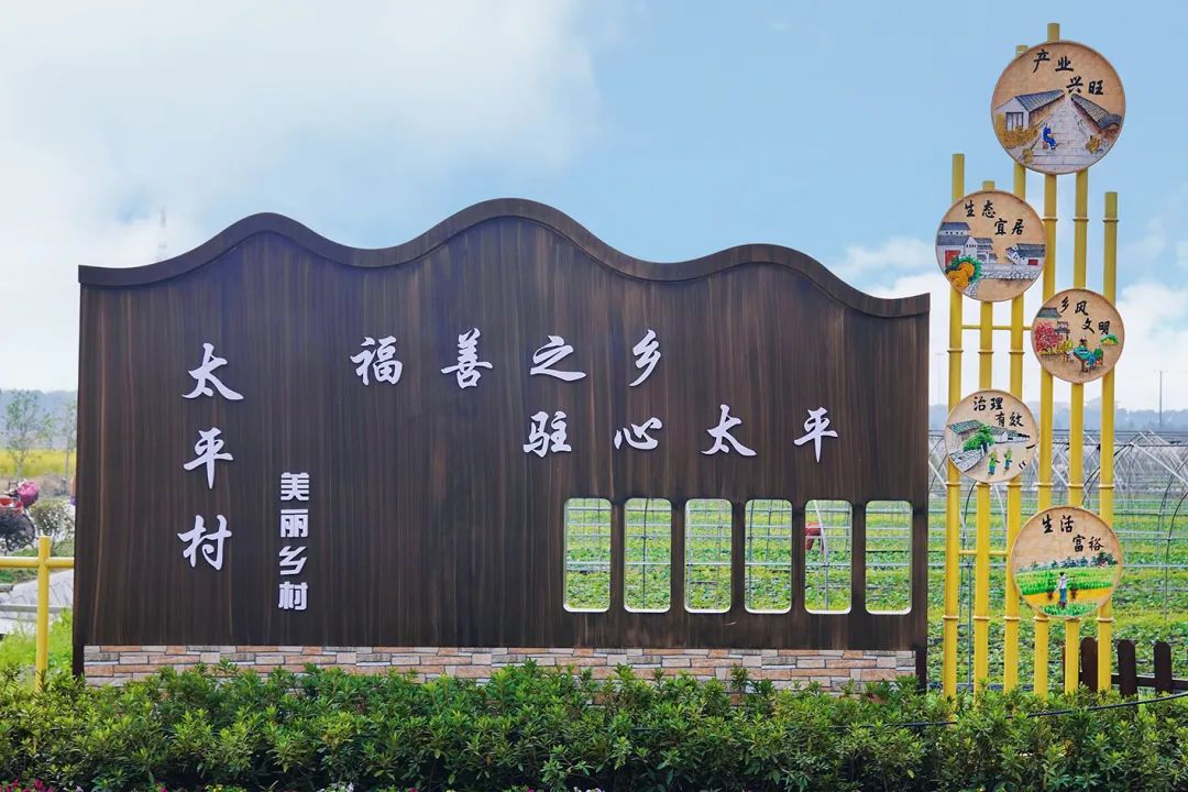 白鹤镇精心绘就美丽蓝图奋力打造魅力太平村