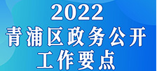 图片解读：《2022年青浦区政务公开工作要点》