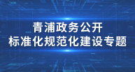 标准化规范化建设专题
