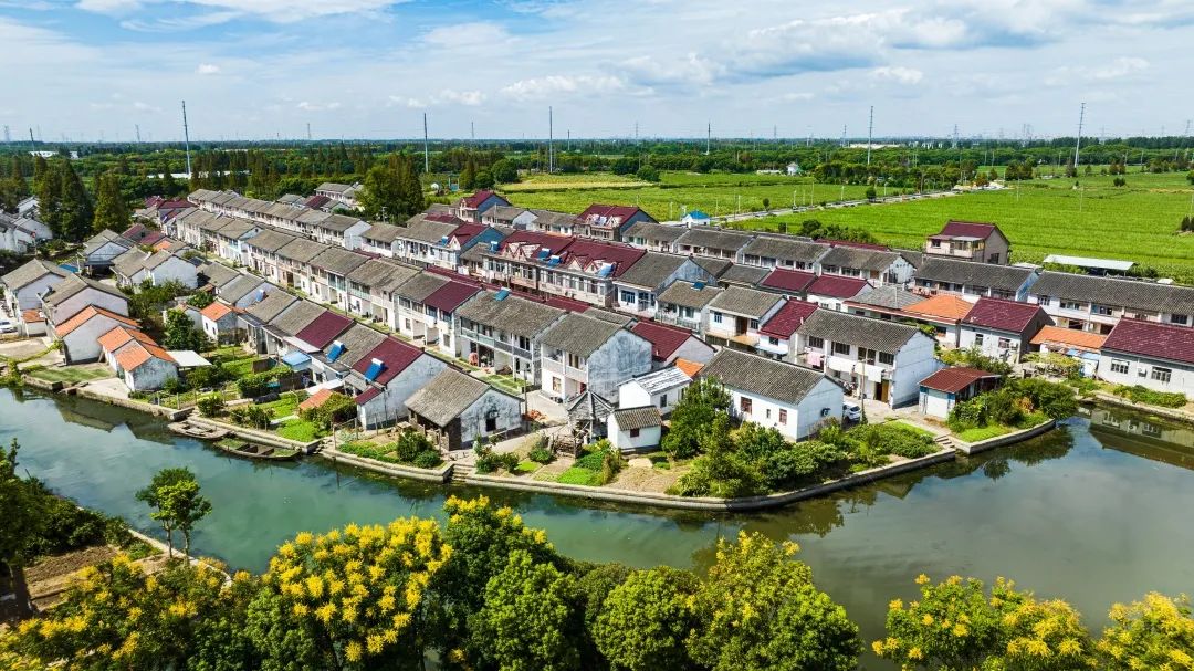 使狠劲,动真格,出实招!练塘镇人居环境整治不停歇,内外兼修塑"颜值"_