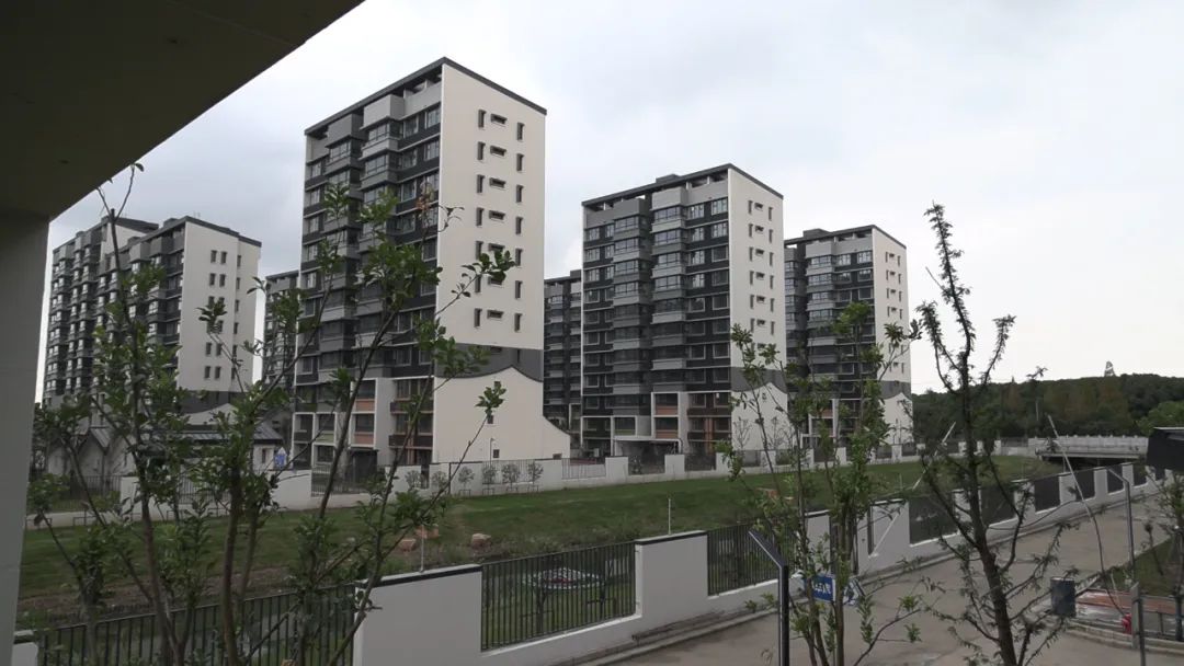民心+,温暖家|青浦全力推进动迁安置房建设!_社会民生_新闻中心_上海市青浦区人民政府