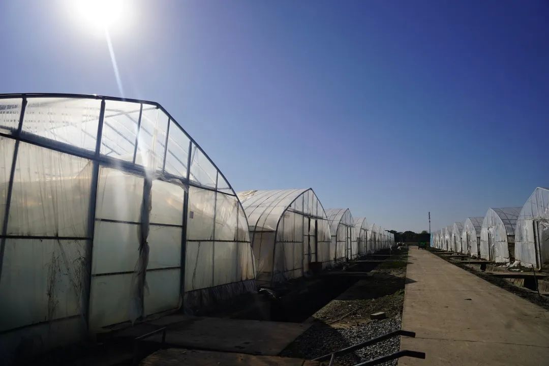 1220_085743_386.jpg