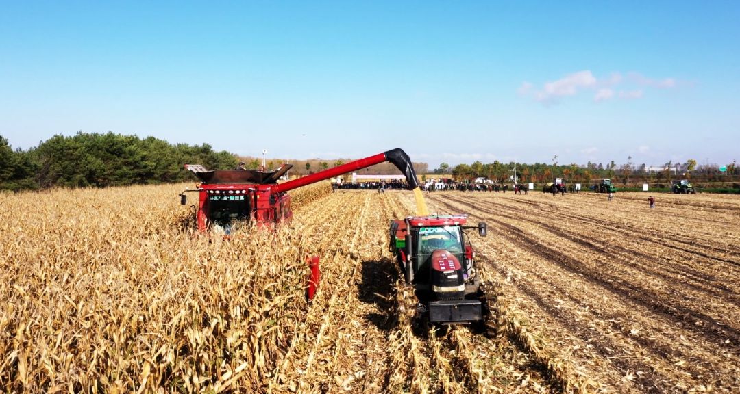 1220_090640_353.png 1220_090640_353.png