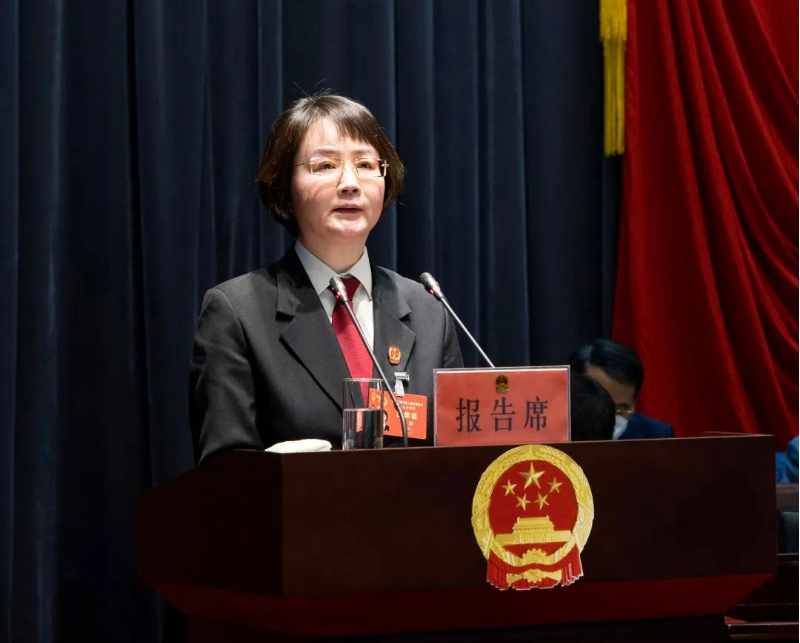 区人民法院院长麦珏作青浦区人民法院工作报告
