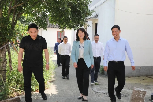 围绕全域土地综合整治，区领导深入金泽镇商榻片区开展专题调研