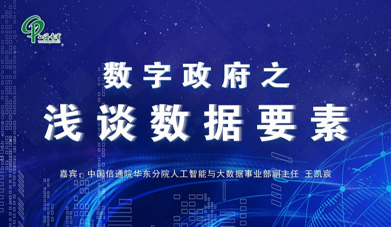 数字政府之浅谈数据要素