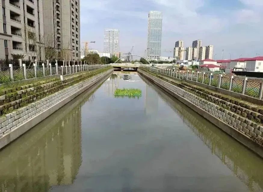 0809_100344_780.jpg
