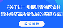 图片解读：《关于进一步促进青浦区农村集体经济高质量发展的实施方案》