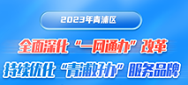 图片解读：《2023年青浦区全面深化“一网通办”改革、持续优化“青浦好办”服务品牌工作要点》