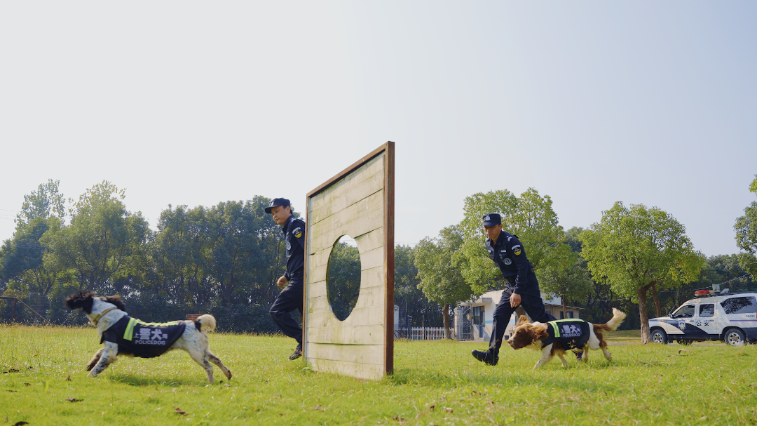 1107_124533_159.png