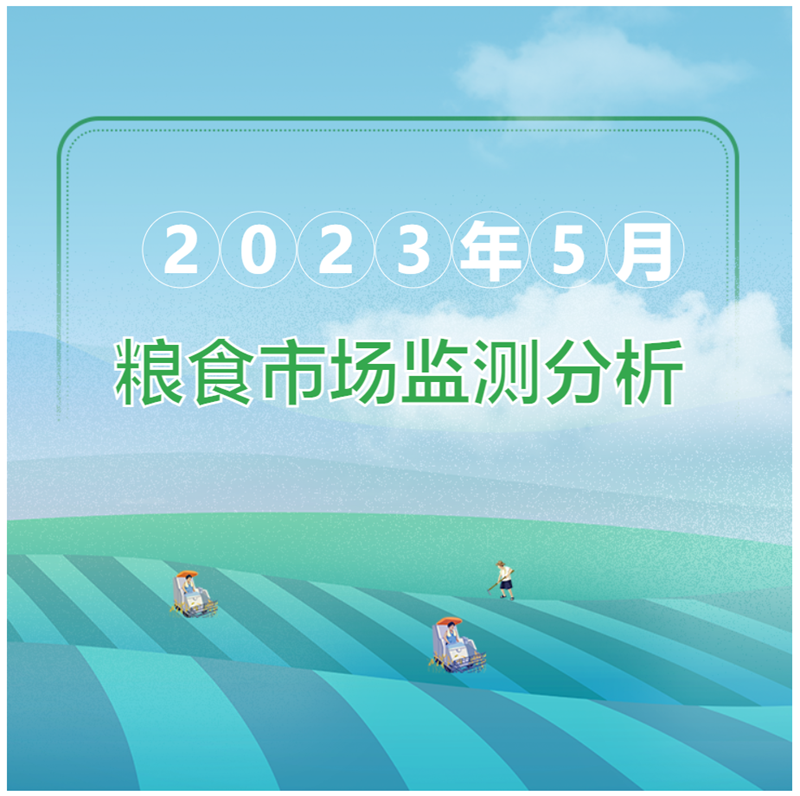 2023年5月粮油市场监测分析