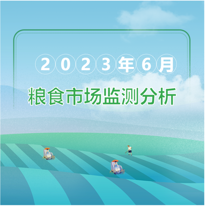 2023年6月粮油市场监测分析