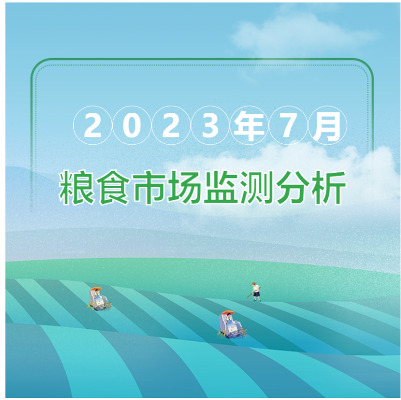 2023年7月粮油市场监测分析