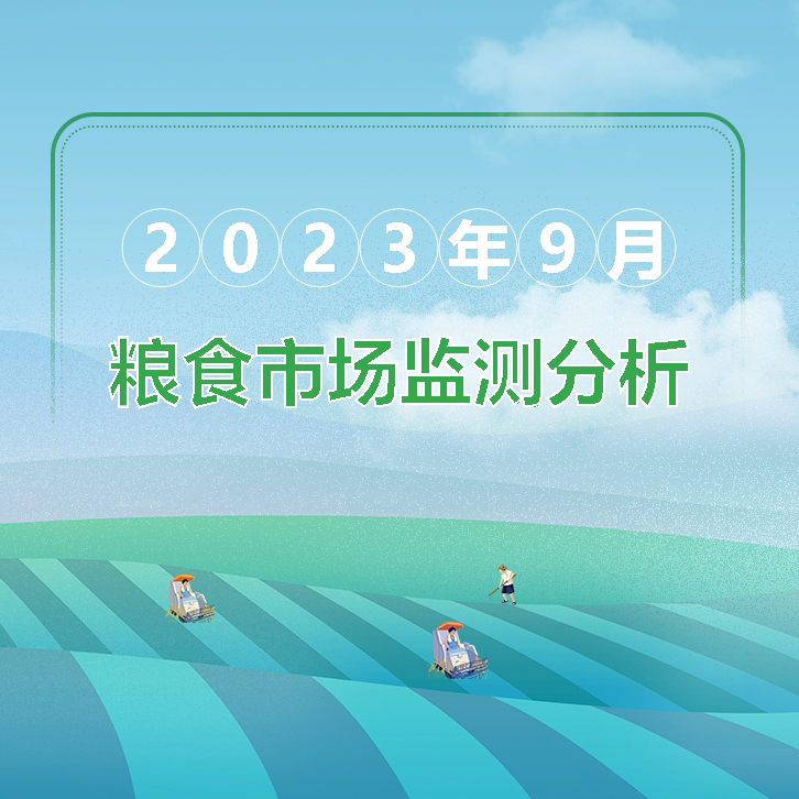 2023年9月粮油市场监测分析