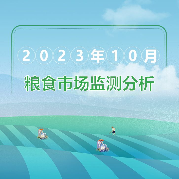 2023年10月粮油市场监测分析