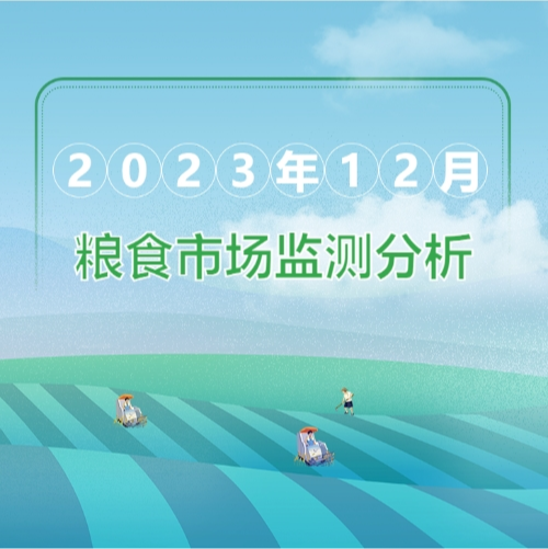 2023年12月粮油市场监测分析