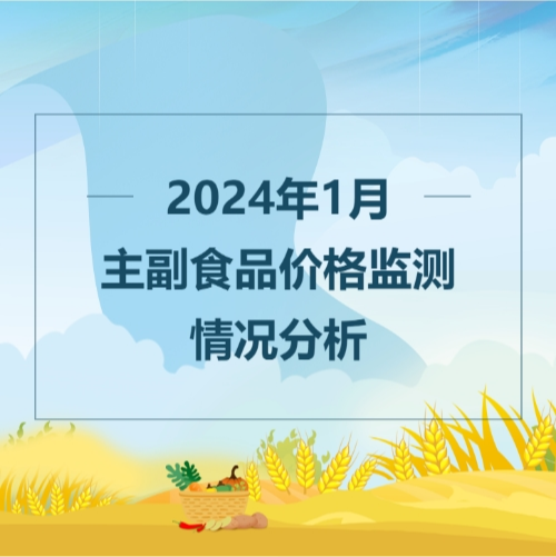 2024年1月主副食品价格监测情况分析