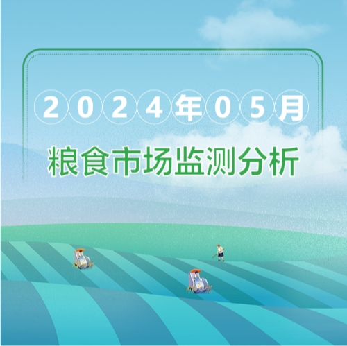 2024年5月粮油市场监测分析